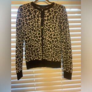Ann Taylor Sweater